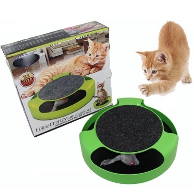 catch the mouse motion cat toy