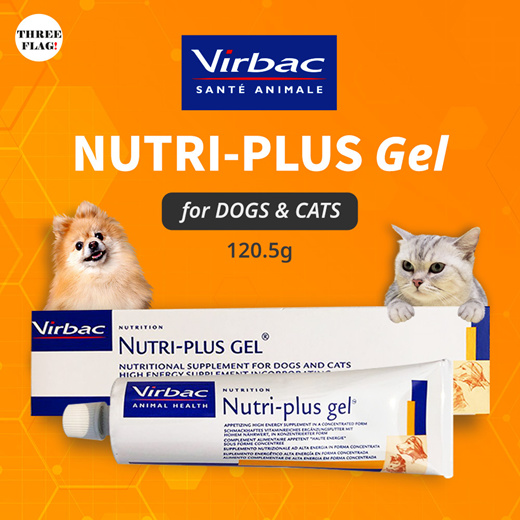 nutri gel cat