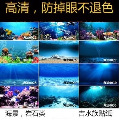 Qoo10 3d High Definition Aquarium Background Wallpaper Painted Fish Tank Bac Tools Gardenin