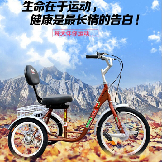 adult pedal tricycle