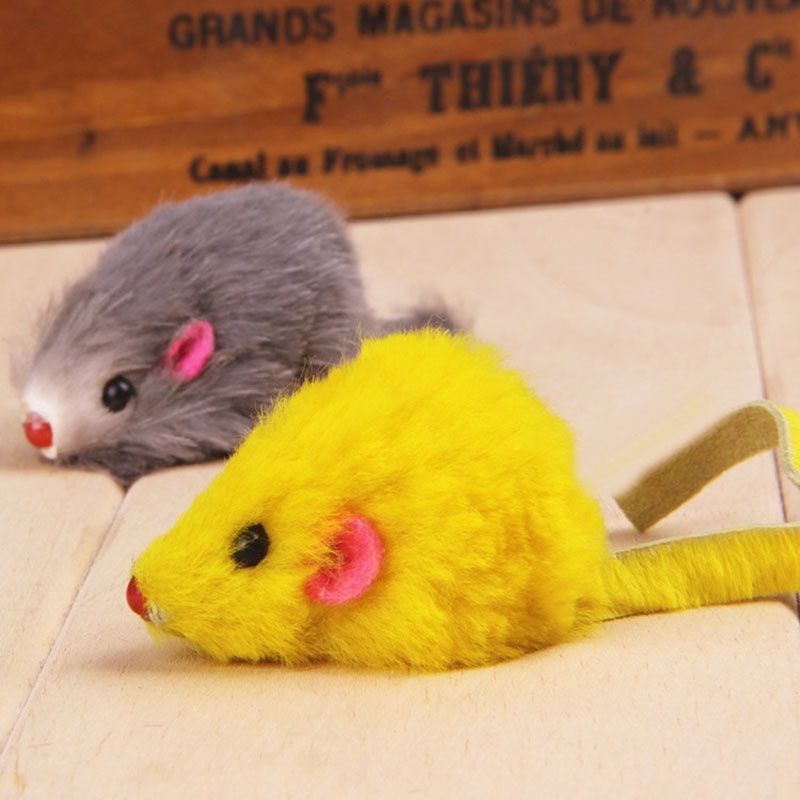 zanies rainbow mice