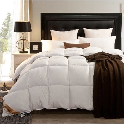 Qoo10 Original 100 Goose Down Comforter Feather Quilt Goose