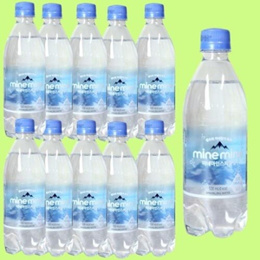 동원 탄산수 플레인 스파클링워터 미네마인 500ml 40개