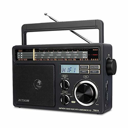  PRUNUS R-818 Retro FM Radio Mini Portable Wooden Old Vintage  Radio,PRUNUS J-170 Portable Shortwave Retro Radio : Electronics