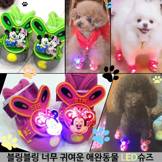 Light up dog shoes hotsell