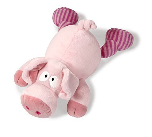 nici pig