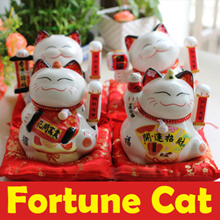 fortune cat sg