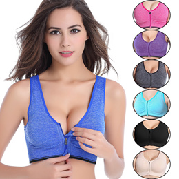 Sport Bra Zipper Front High Impact Sports Bras for Women Large Bust - High  Strength Shockproof Running Yoga Beauty Back without Marks Gather Fitness  Bra S-5XL 