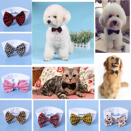 dog dickie bow tie