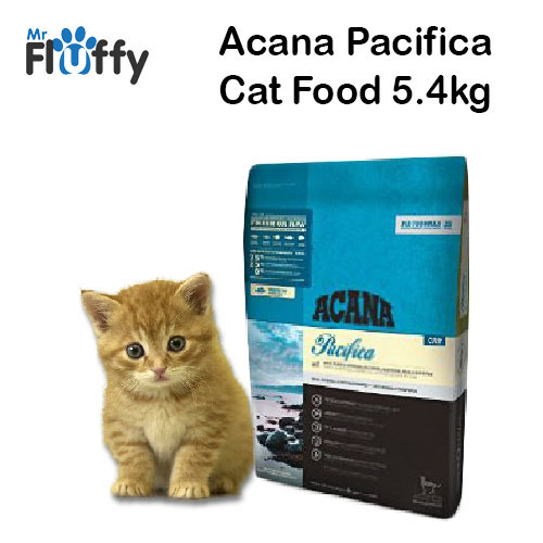acana kitten food