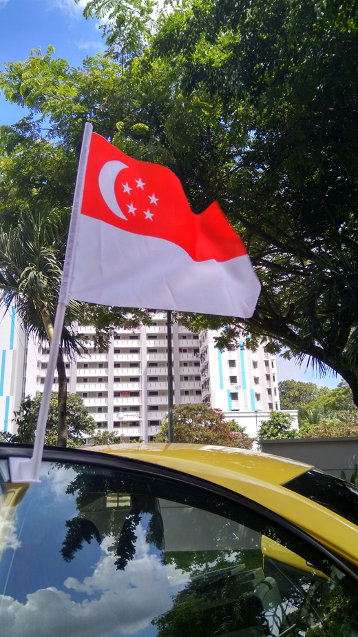 car flag near me