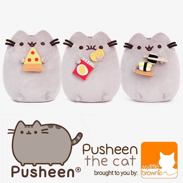 pusheen potato chips