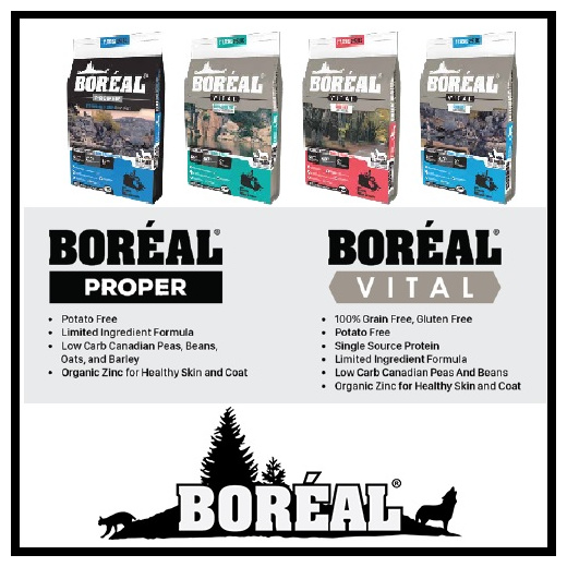 boreal vital dog food