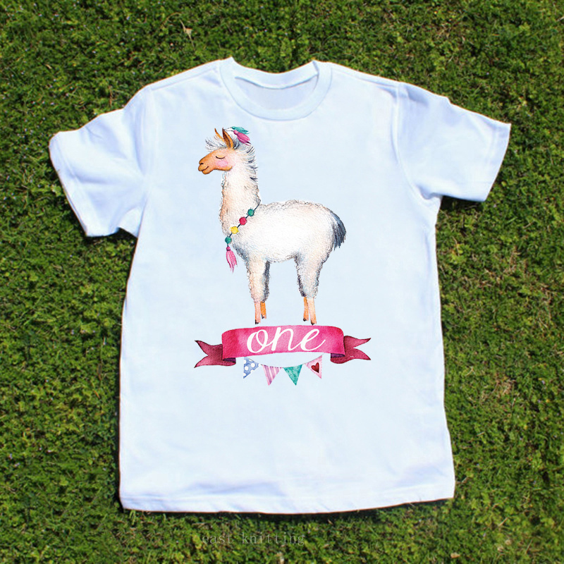 llama first birthday outfit