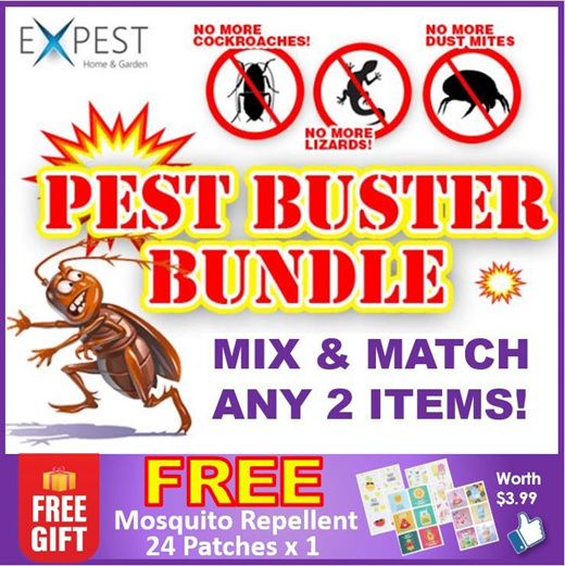 Qoo10 - EXPEST Home Reptile/Lizard Sticky Trap Pest Control Stop Pests  Insect  : Household & Bedd
