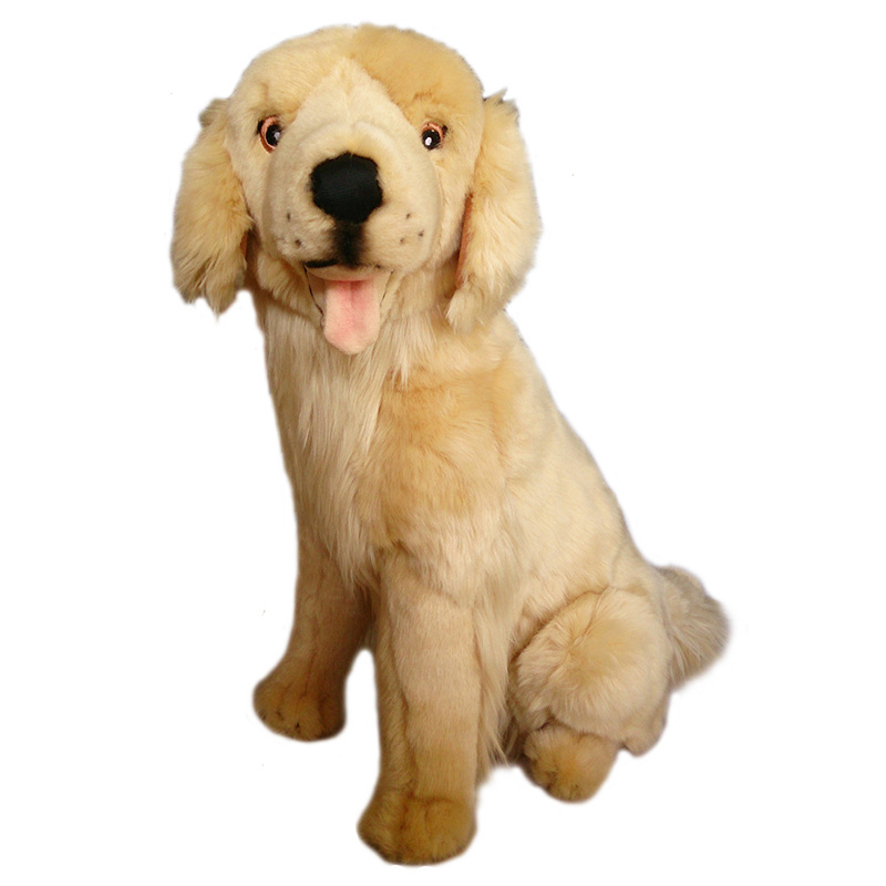 46+ Harga anjing golden retriever dewasa release