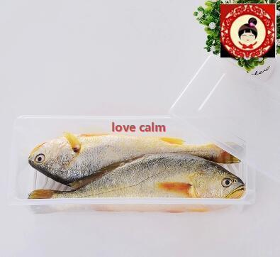 Qoo10 Japan Sp Sauce Plastic Fish Boxes Large Capacity Refrigerator Crisper Kitchen Dining