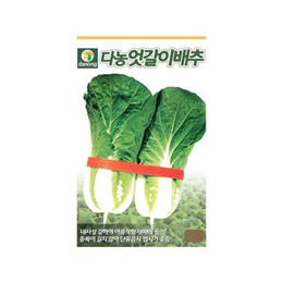 (DN) 다농엇갈이배추 씨앗(30g)