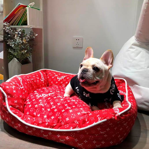 Supreme lv 2025 dog bed