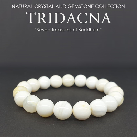 tridacna bracelet