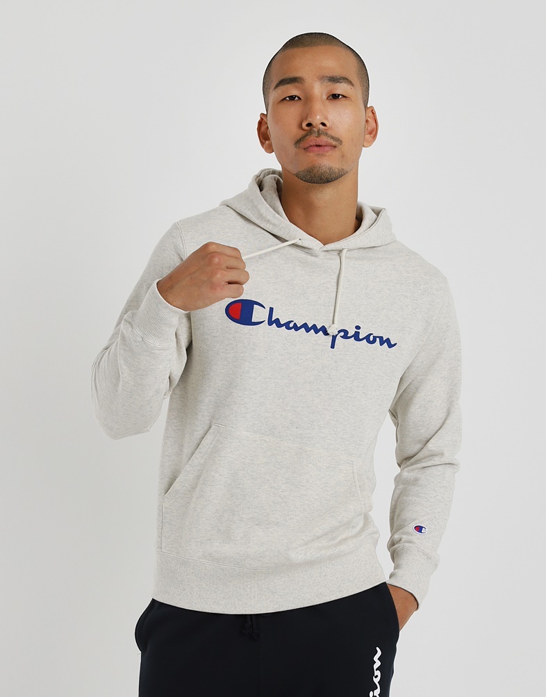 champion basic hoodie