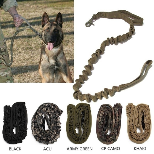 army dog belt