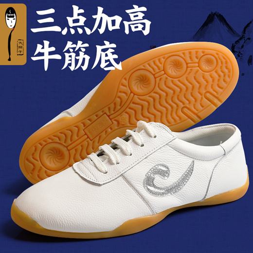 taiji shoes