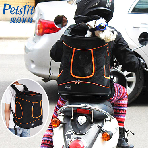 petsfit cat backpack