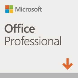 MICROSOFT 오피스 2019 Professional Plus MS정품 라이센스