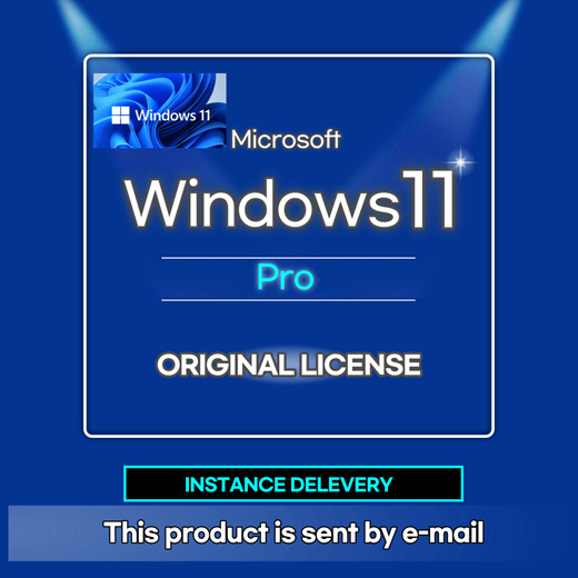 Windows 11 Pro (ESD)