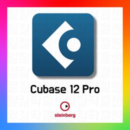 STEINBERG 큐베이스 프로 12 cubase pro 12 윈도우용 1pc
