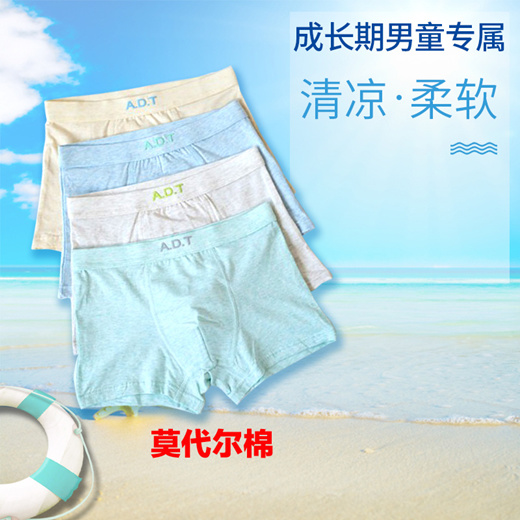 Qoo10 - Kids Underwear / Boys Brief / Children Boxer Shorts