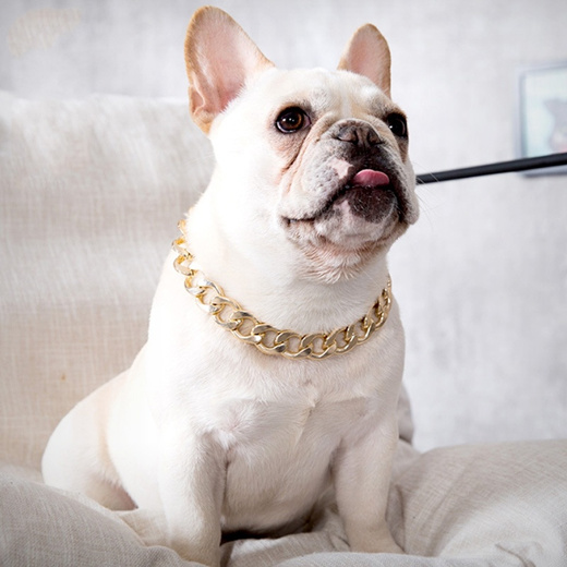 thick gold chain dog collar