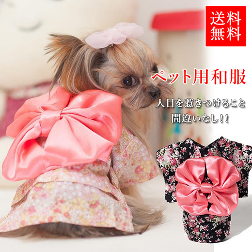 Qoo10 Pet Clothes Pet Care
