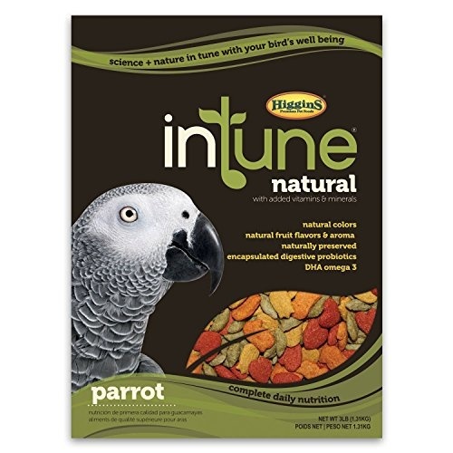 higgins intune parrot food