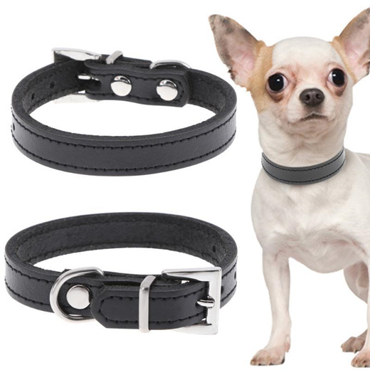 dog's neck belt