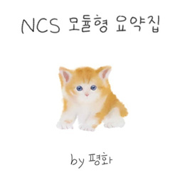 NCS 모듈형 요약집 PDF 전자책 (2024년 최신 버전)