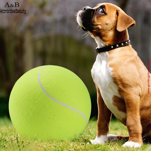 big tennis ball for dogs