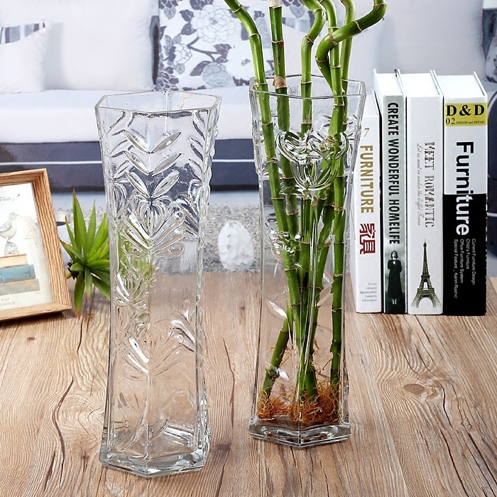 Qoo10 Jiayi Household Clear Glass Vase Water Cultured Lucky