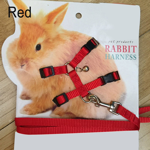 pet rabbit leash