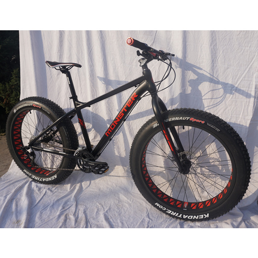 monster fat bike