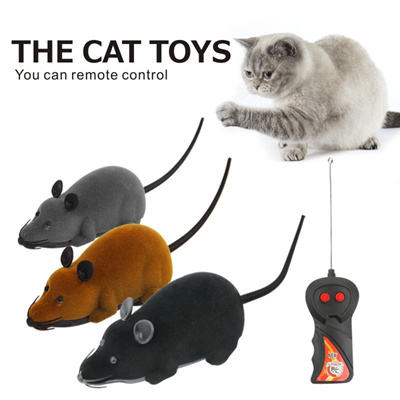 remote control mouse toy