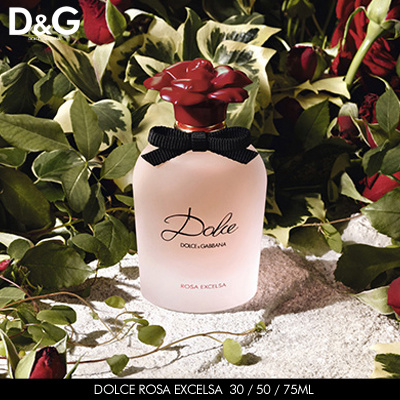 d&g rosa excelsa