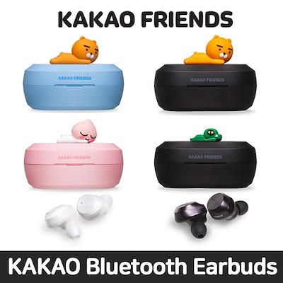 kakao luggage