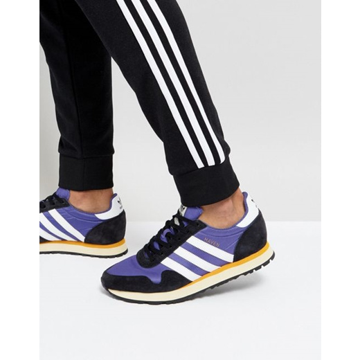 adidas haven purple