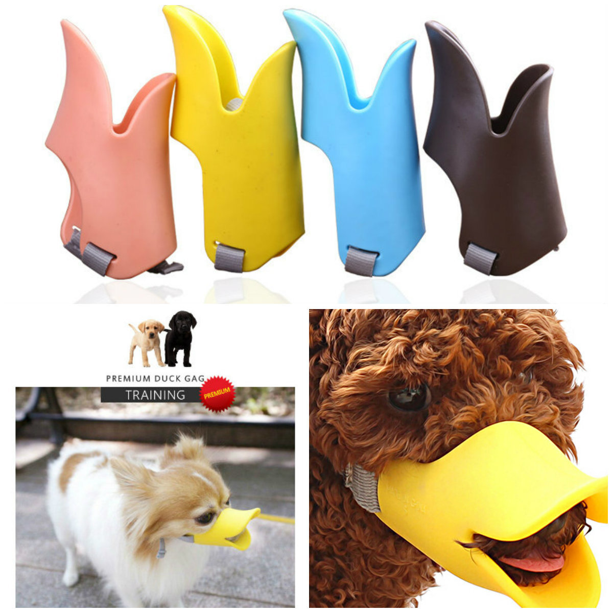 dog muzzle duck face