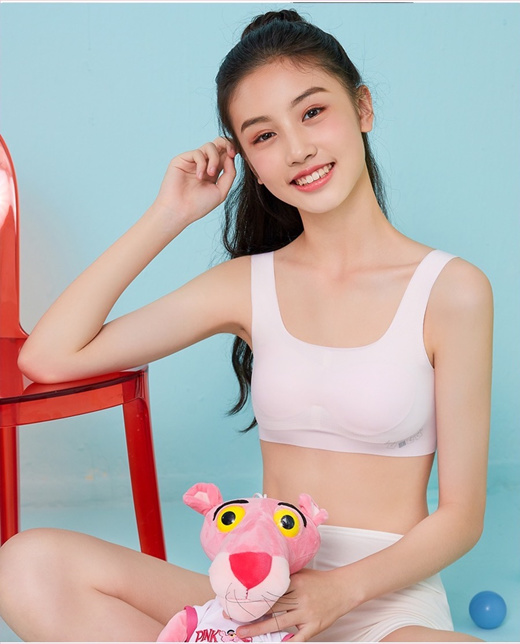 Girl's Bra Suit Girl's Developmental Vest Girl's Underwear Panties Q Set of  12 Students and Children 15 Thin -  - Buy China shop at  Wholesale Price By Online English Taobao Agent