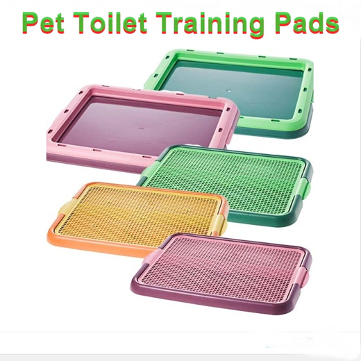 Pee store tray training