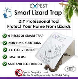 5pcs Anti Moth Prevention Sticky Glue Trap Indoor Mosquito Trap