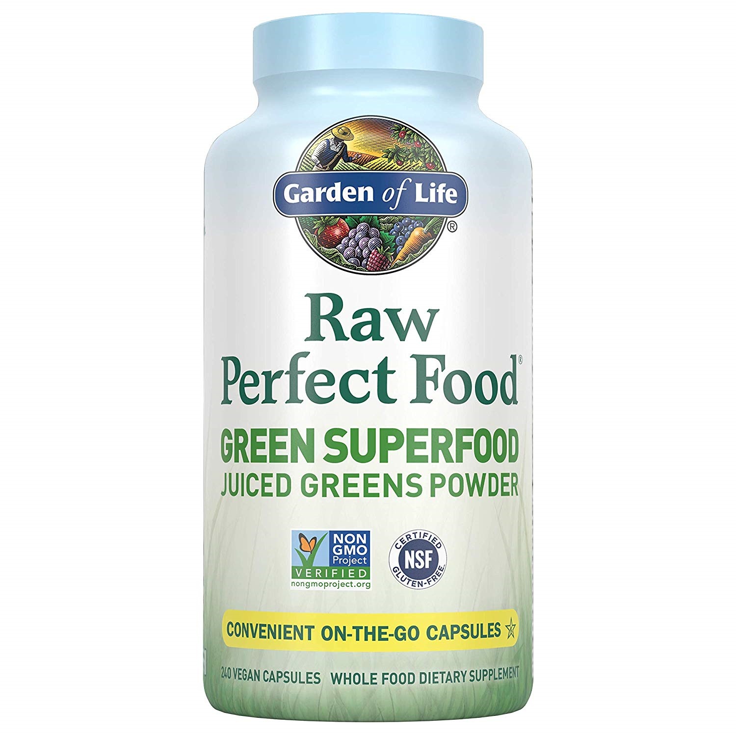 Qoo10 Garden Of Life Raw Perfect Food Green Superfood Juiced